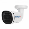 TRASSIR TR-D2221WDC (4 мм)