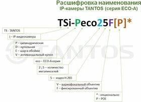 Tantos TSi-Peco25F (версия 2022г) - изображение 7